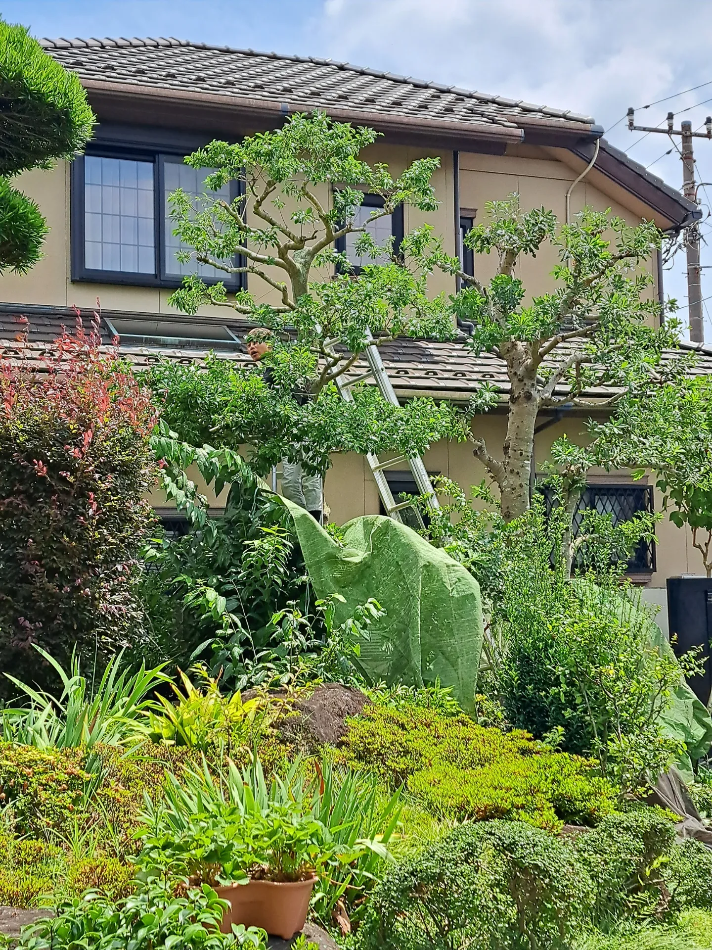 千葉県佐倉市