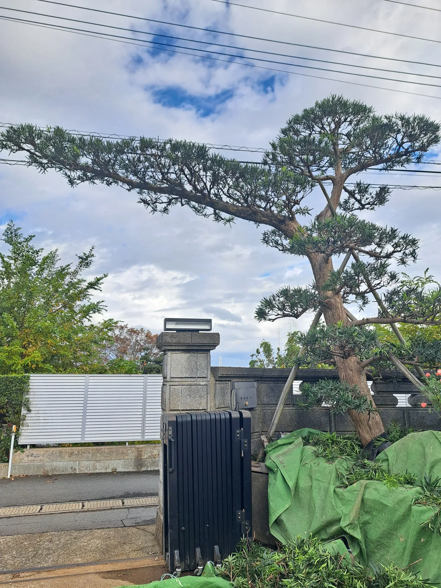 千葉県佐倉市