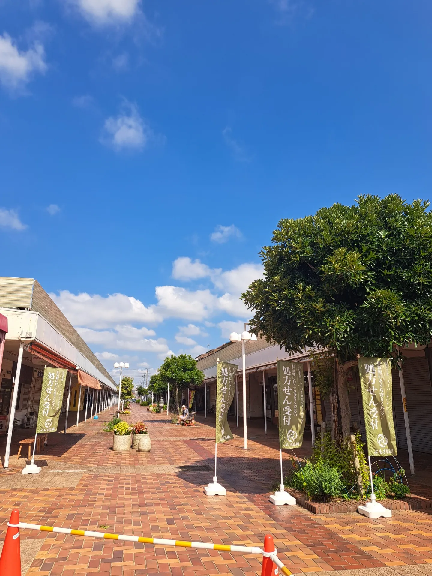 【佐倉市 商店街】緑は心の豊かさを生む