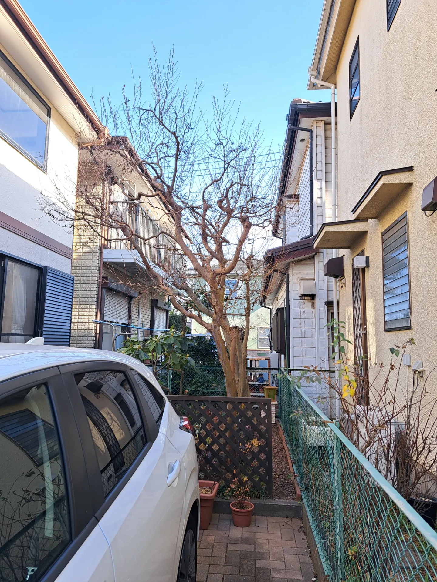 【佐倉市 植木剪定】大きく育った植木をどうやって自然風に縮めるか